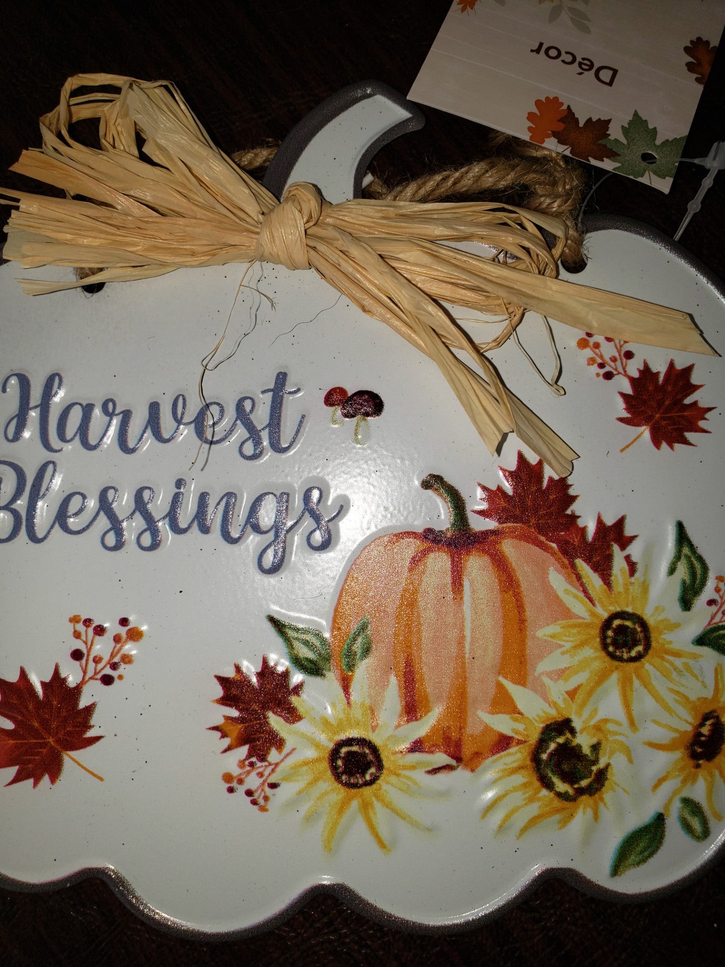 Fall Harvest Pair Hanging Pumpkin Signs